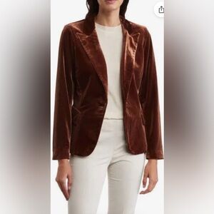 DR2 By Daniel Rainn Elegant Chocolate Velvet Women's Blazer NEW